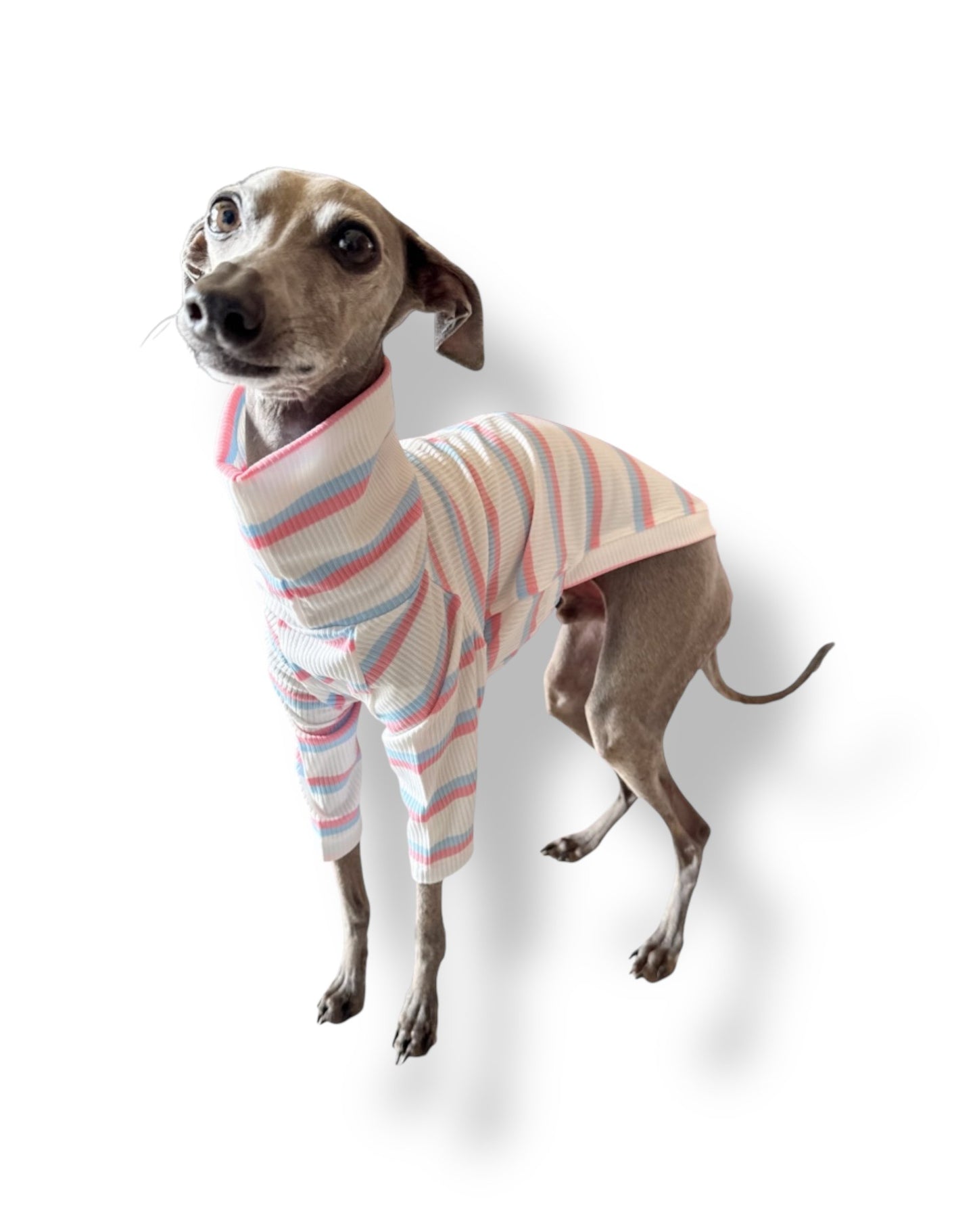 Ribbed Jersey T-Shirt - Pink & Blue Stripe