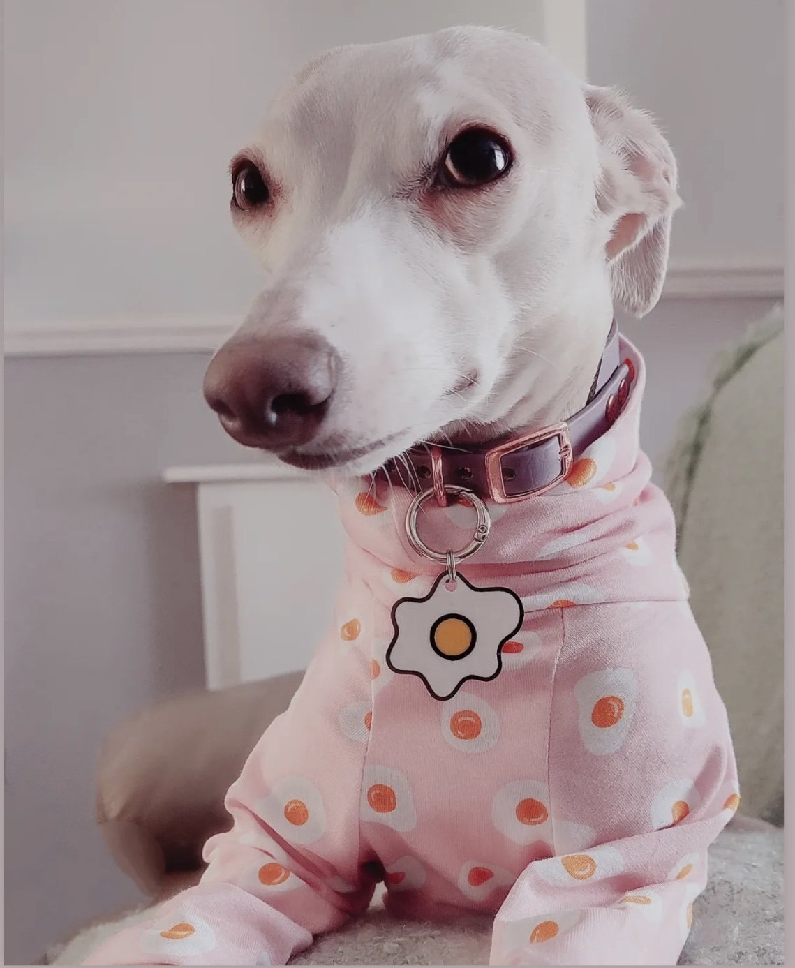 Jersey T-Shirt - Fried Eggs