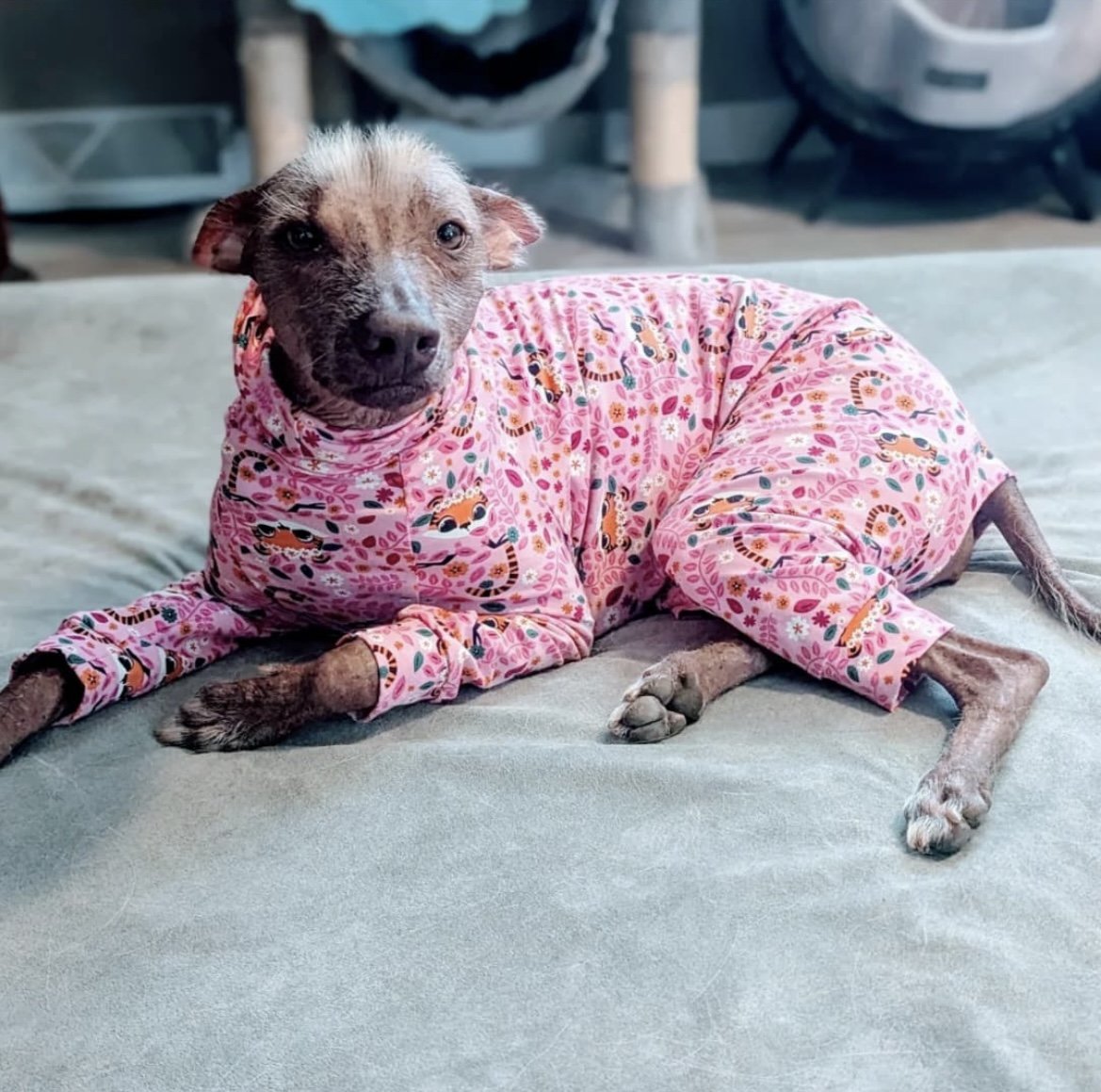 Jersey Suit - Pink Tigers