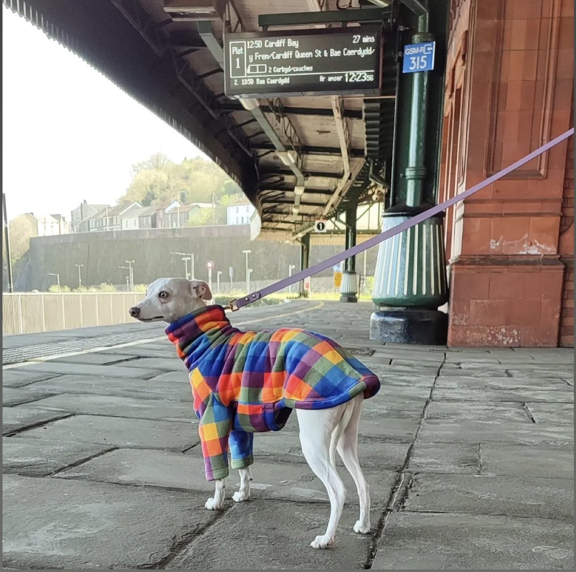 Sherpa Lined Fleece Jumper - Bright Plaid