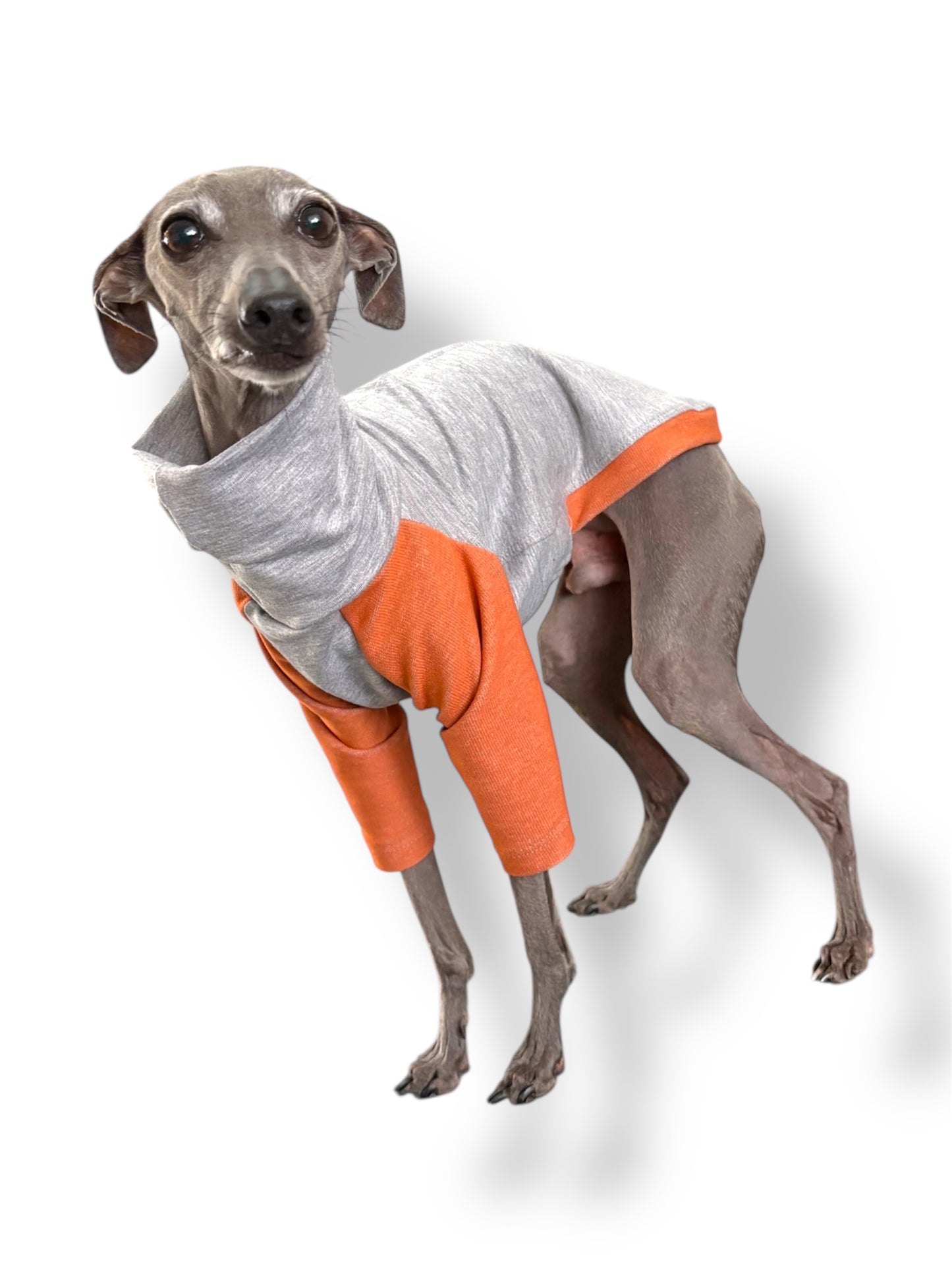 Raglan Sweatshirt - Orange