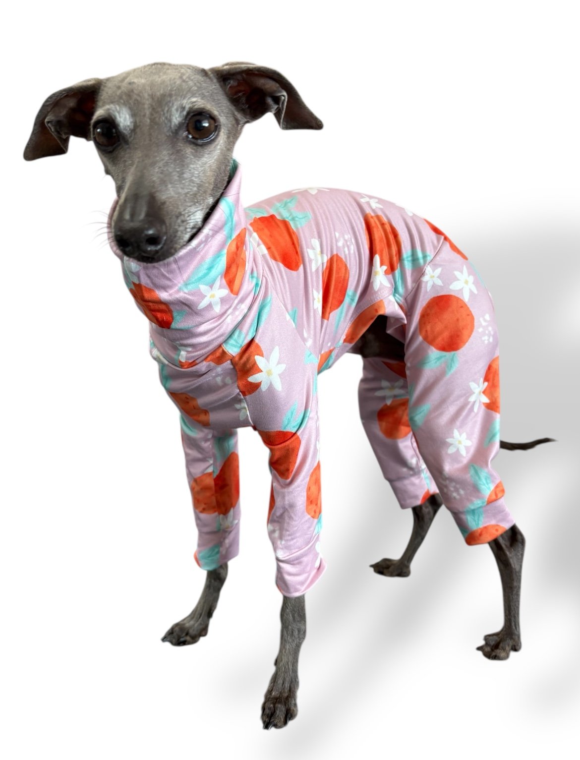 Jersey Suit - Peaches
