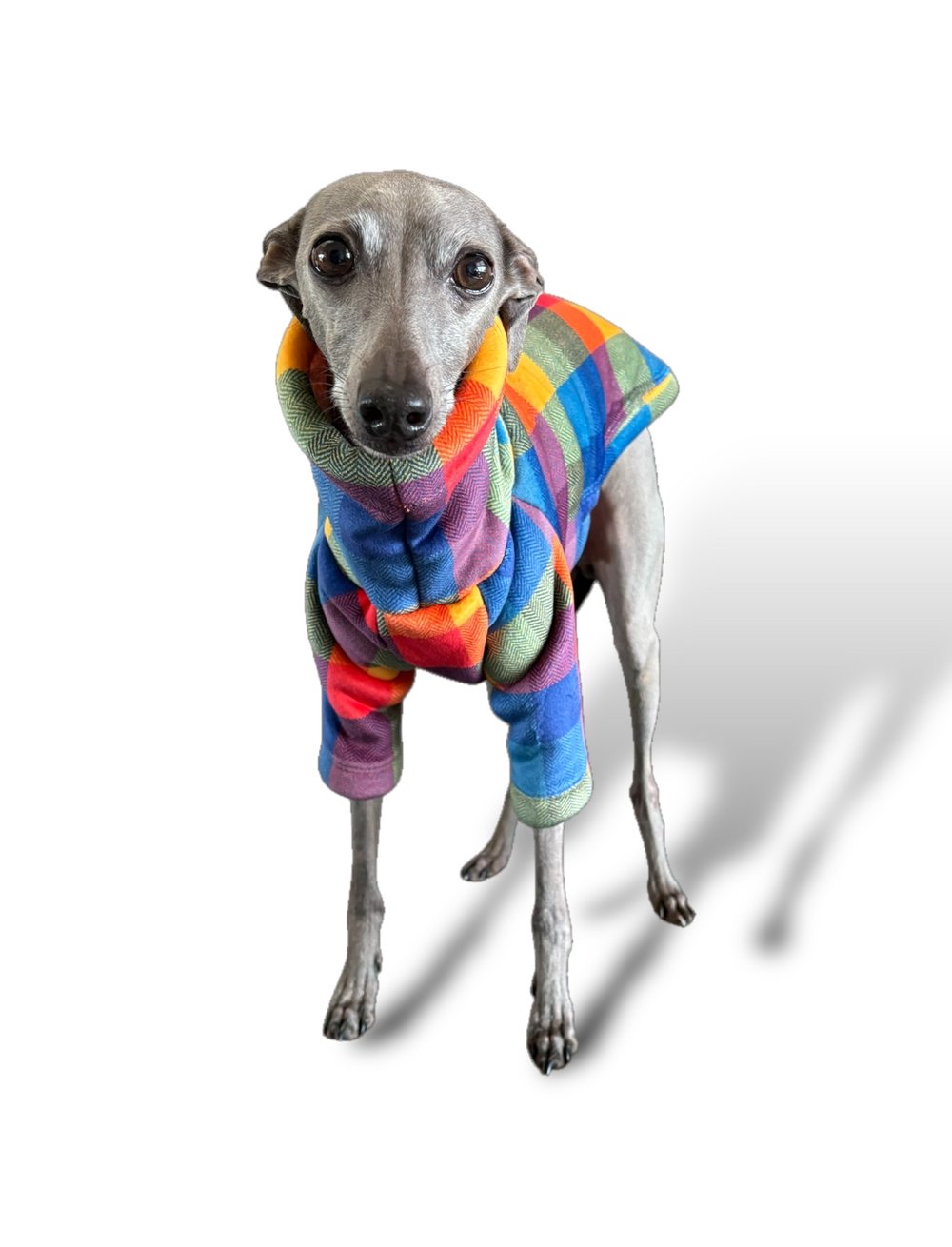 Sherpa Lined Fleece Jumper - Bright Plaid