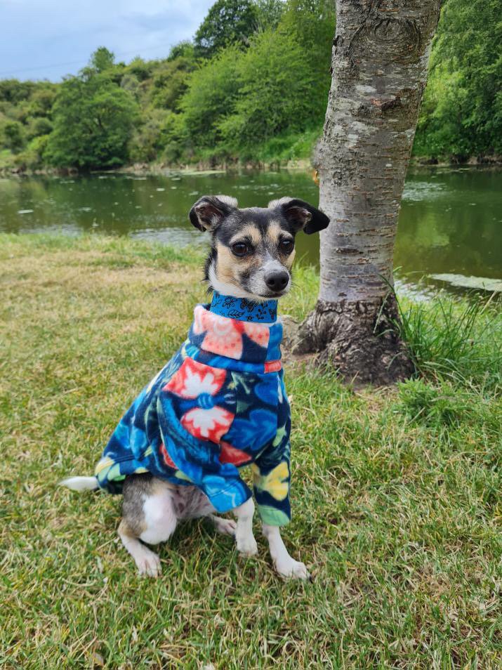 Fleece Jumper - Aztec Ultra-Plush Blue