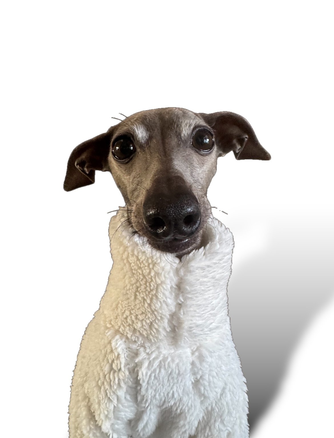 Cuddle Fur Fleece Jumper - Little Lamb