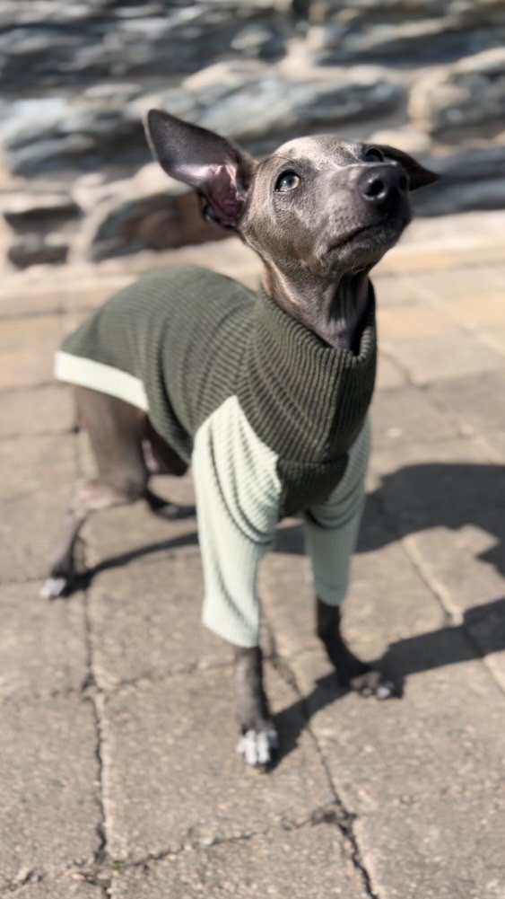 Ribbed Jersey T-Shirt - Greens