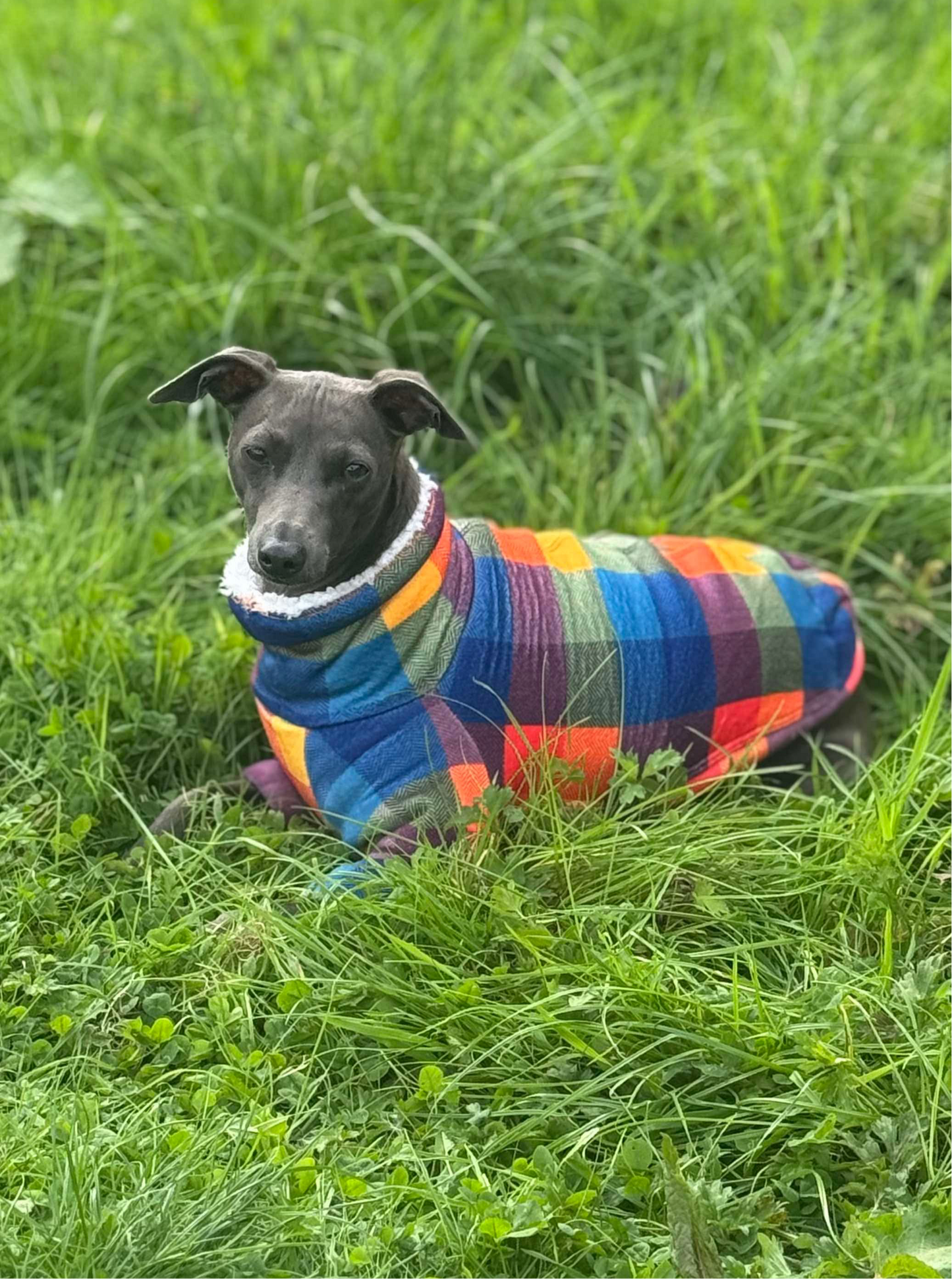 Sherpa Lined Fleece Jumper - Bright Plaid