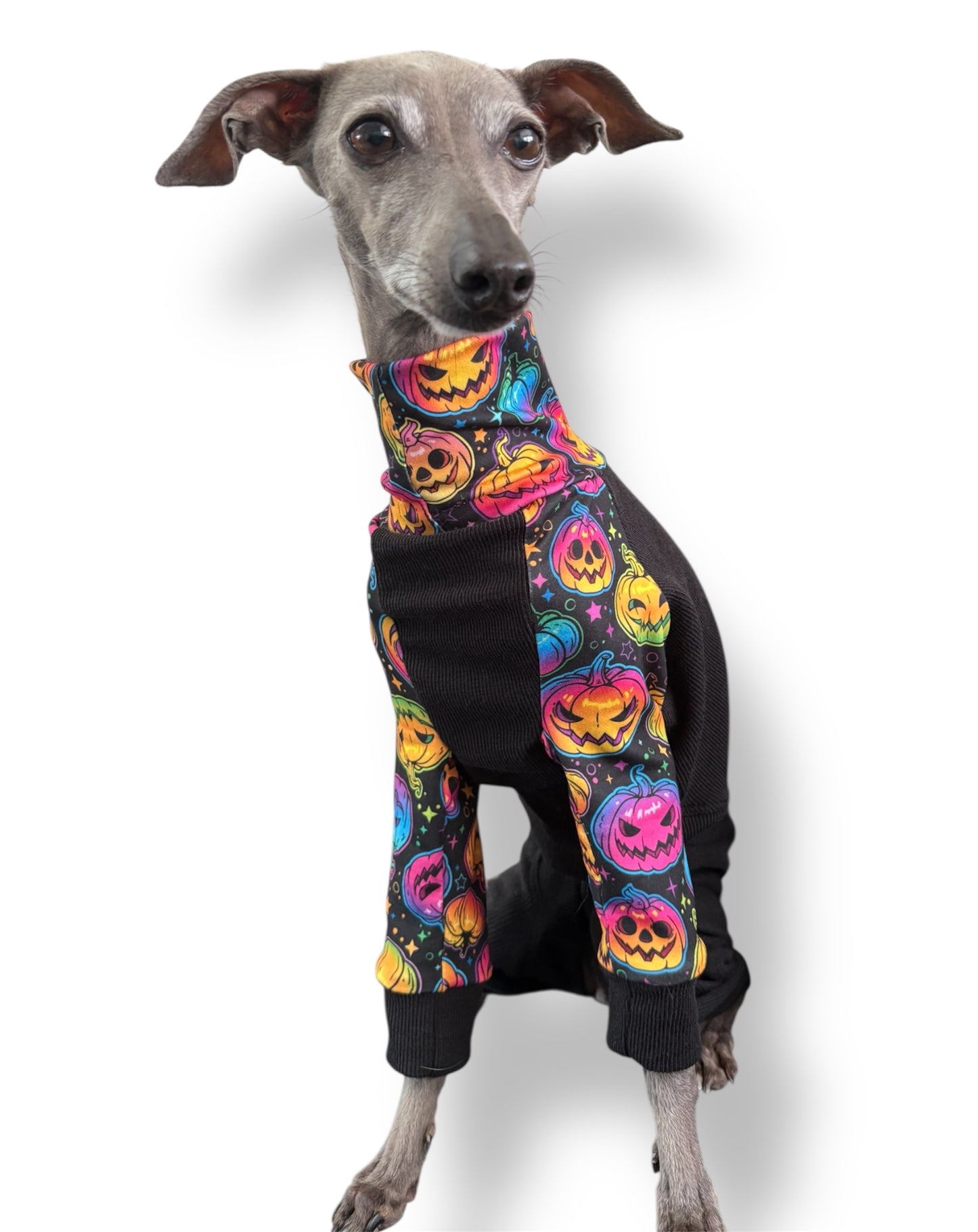 Jersey Suit - Ribbed Jersey & Neon Mushrooms