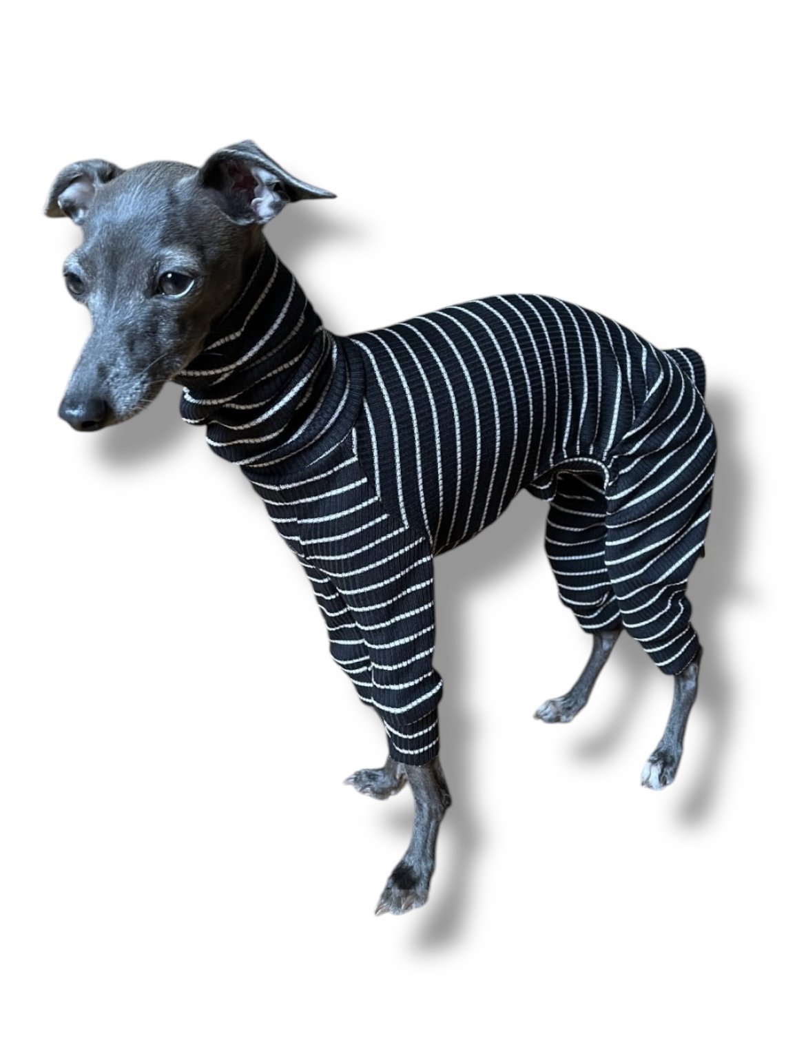 Ribbed Jersey Suit - Black & White