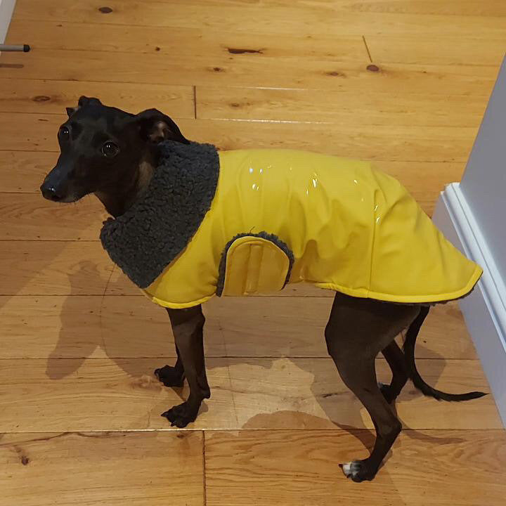 Rain Mac - Yellow Starfish & Plaid Sherpa Lining