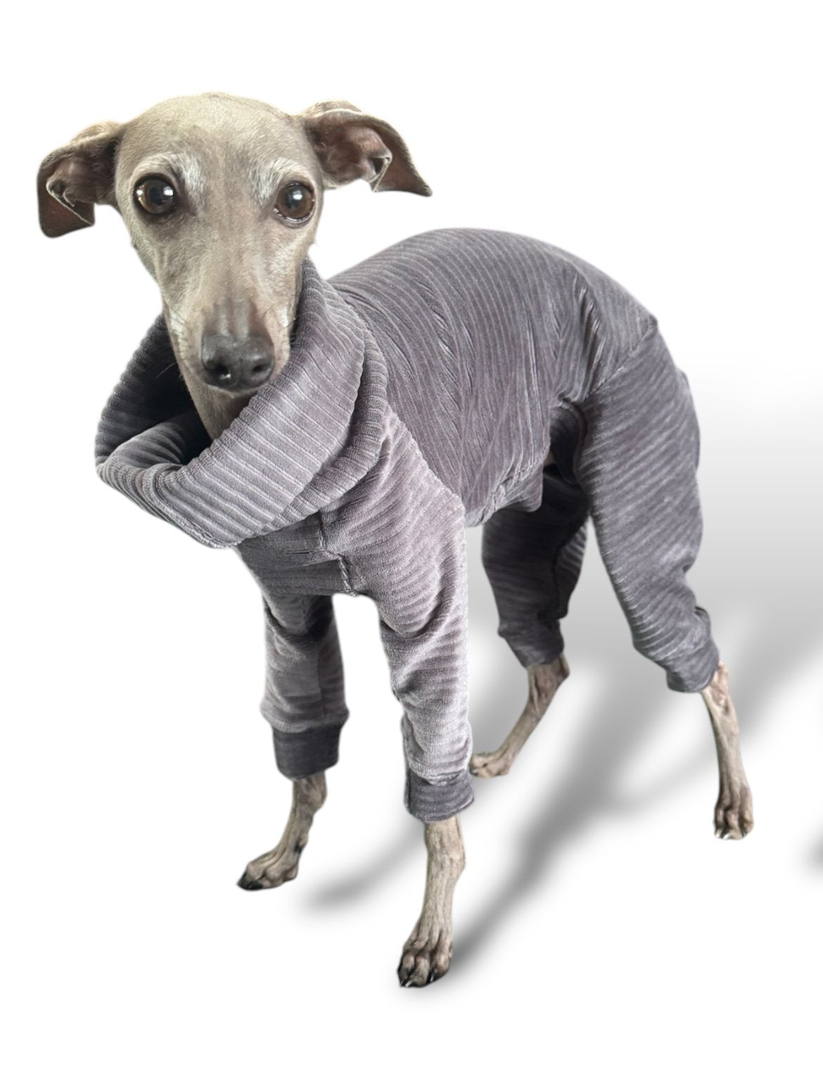 Jumbo Cord Jersey Suit - Grey
