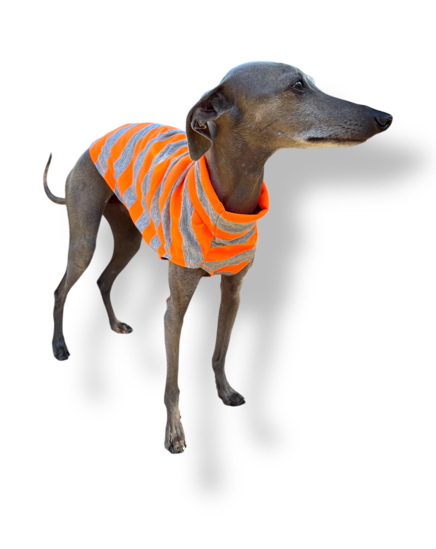 Lightweight Jersey Vest - Orange Hi-Vis