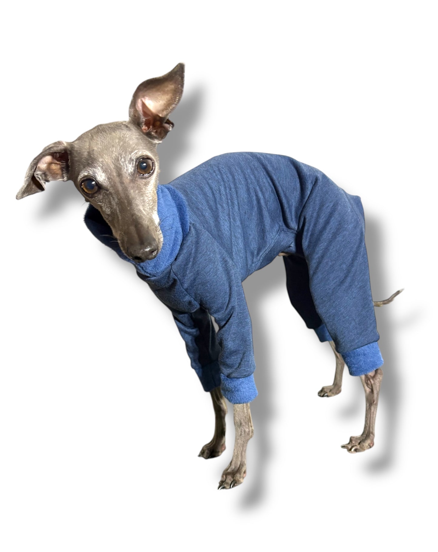 Fleece Lined Sweatshirt - Blue