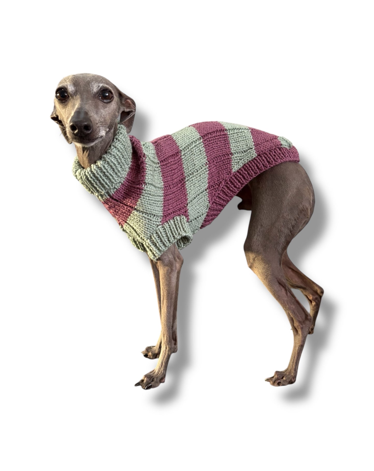 Puppy Knitted Jumper - Hot Pink