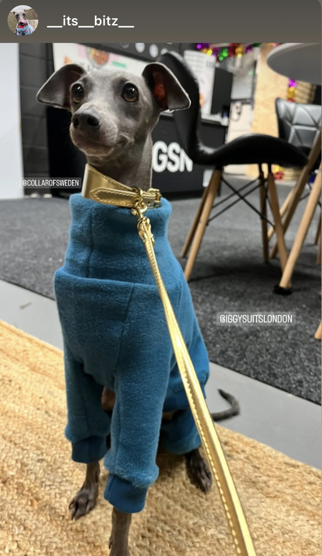 Fleece Lined Sweatshirt - Teal