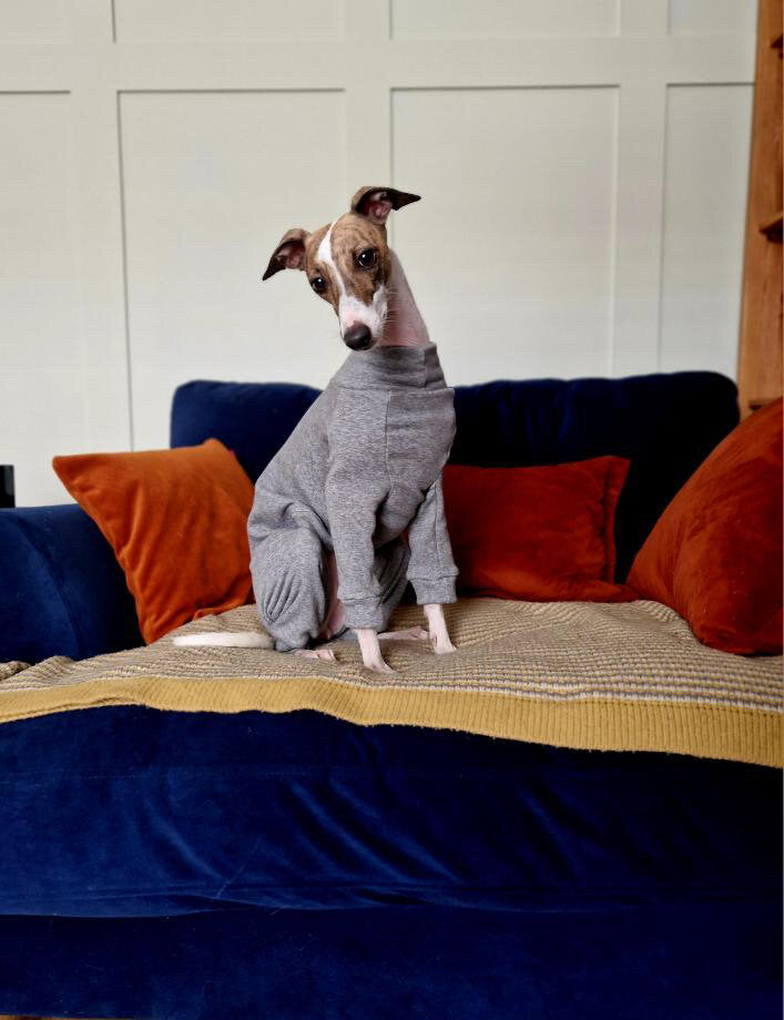 Puppy Fleece Lined Sweatshirt - Grey