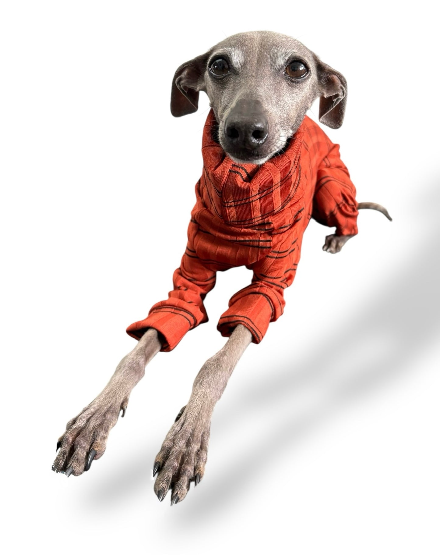 Ribbed Jersey Suit - Rust Orange