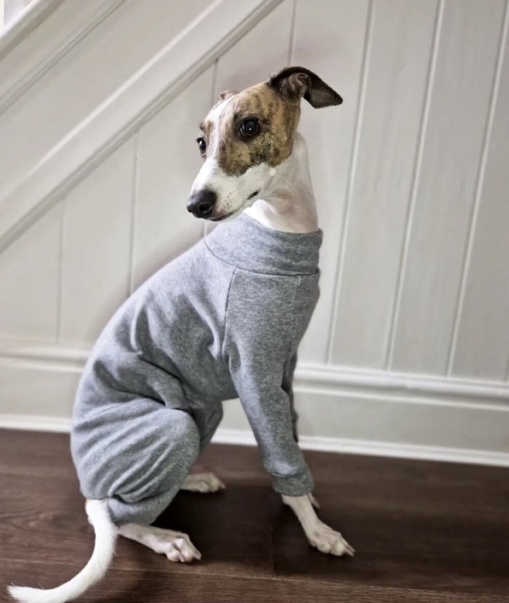 Puppy Fleece Lined Sweatshirt - Grey