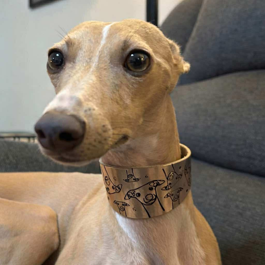 Leather Collar - Hounds
