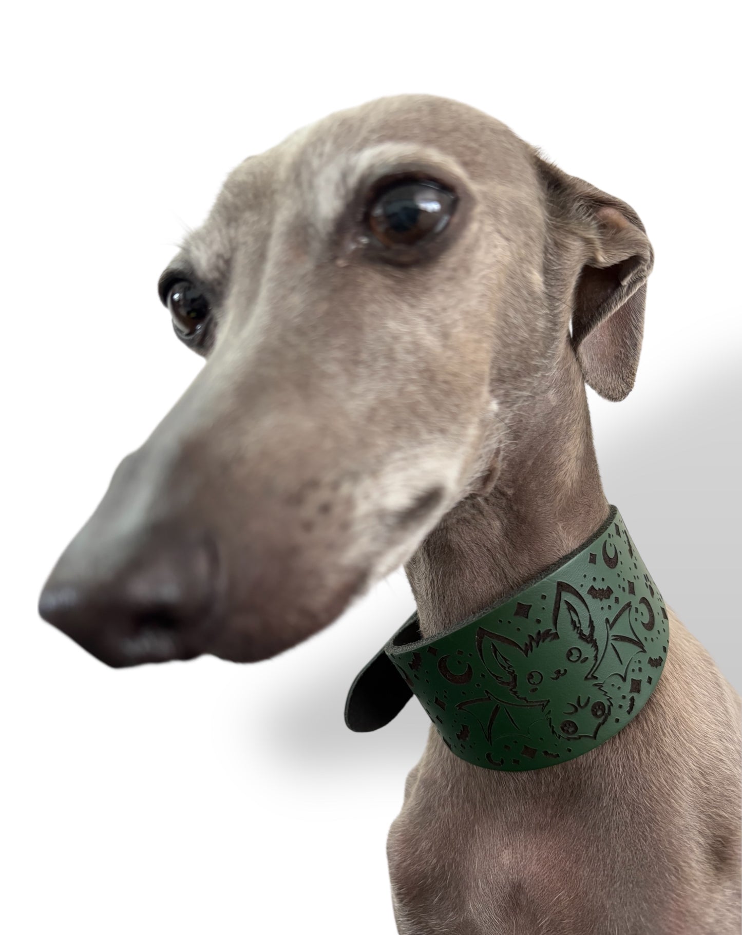 Leather Collar - HALLOWEEN - The Moonlit Bat