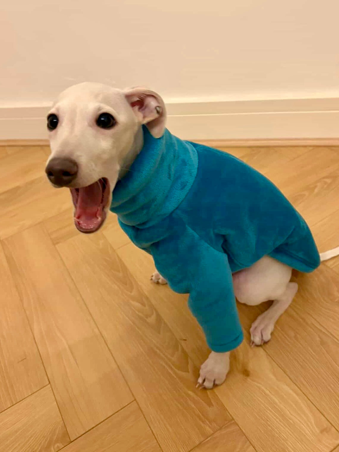 Sherpa Lined Fleece Jumper - Cyan Blue