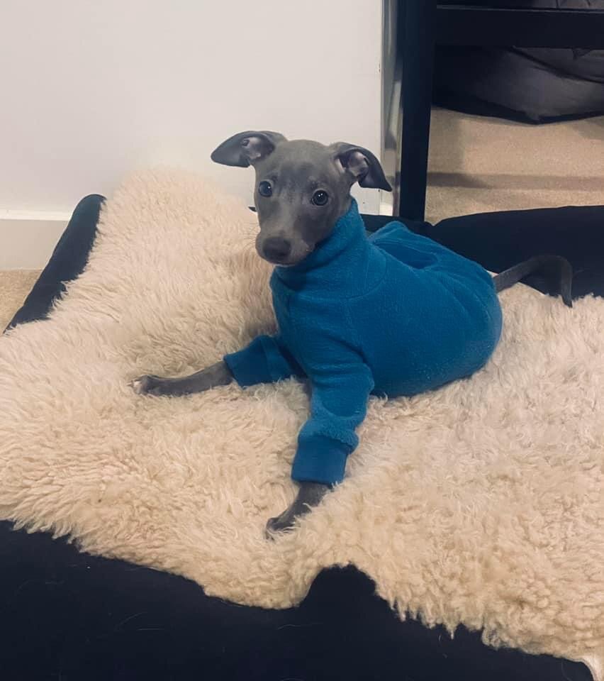 Fleece Lined Sweatshirt - Teal