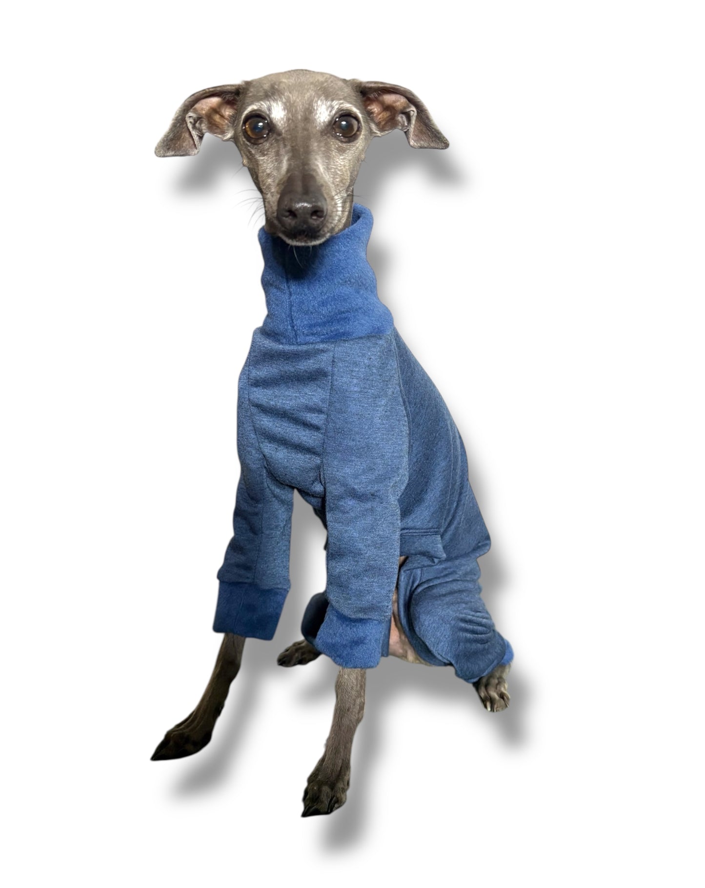 Fleece Lined Sweatshirt - Blue