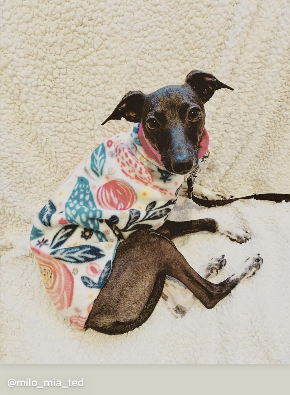 Fleece Vest - Peony Garden