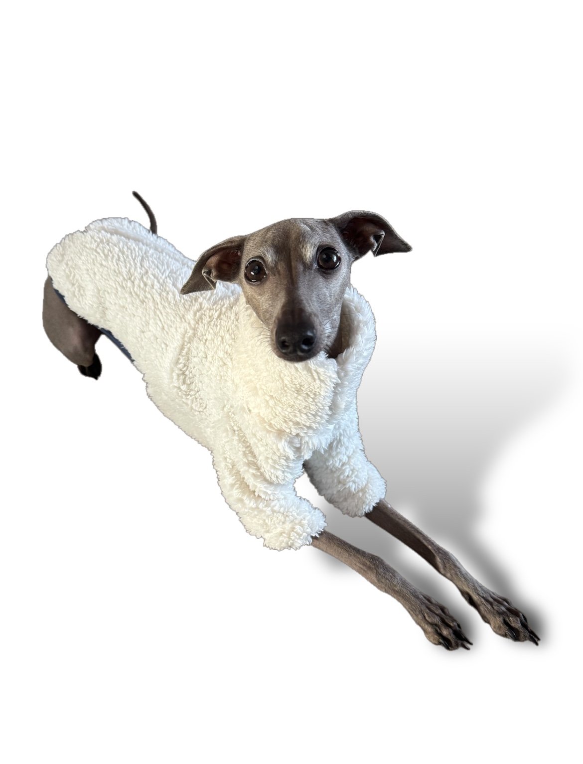 Cuddle Fur Fleece Jumper - Little Lamb