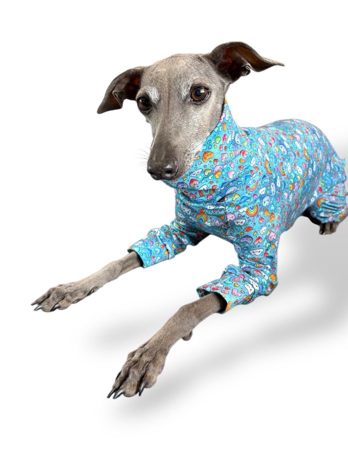 Jersey Suit - Kawaii