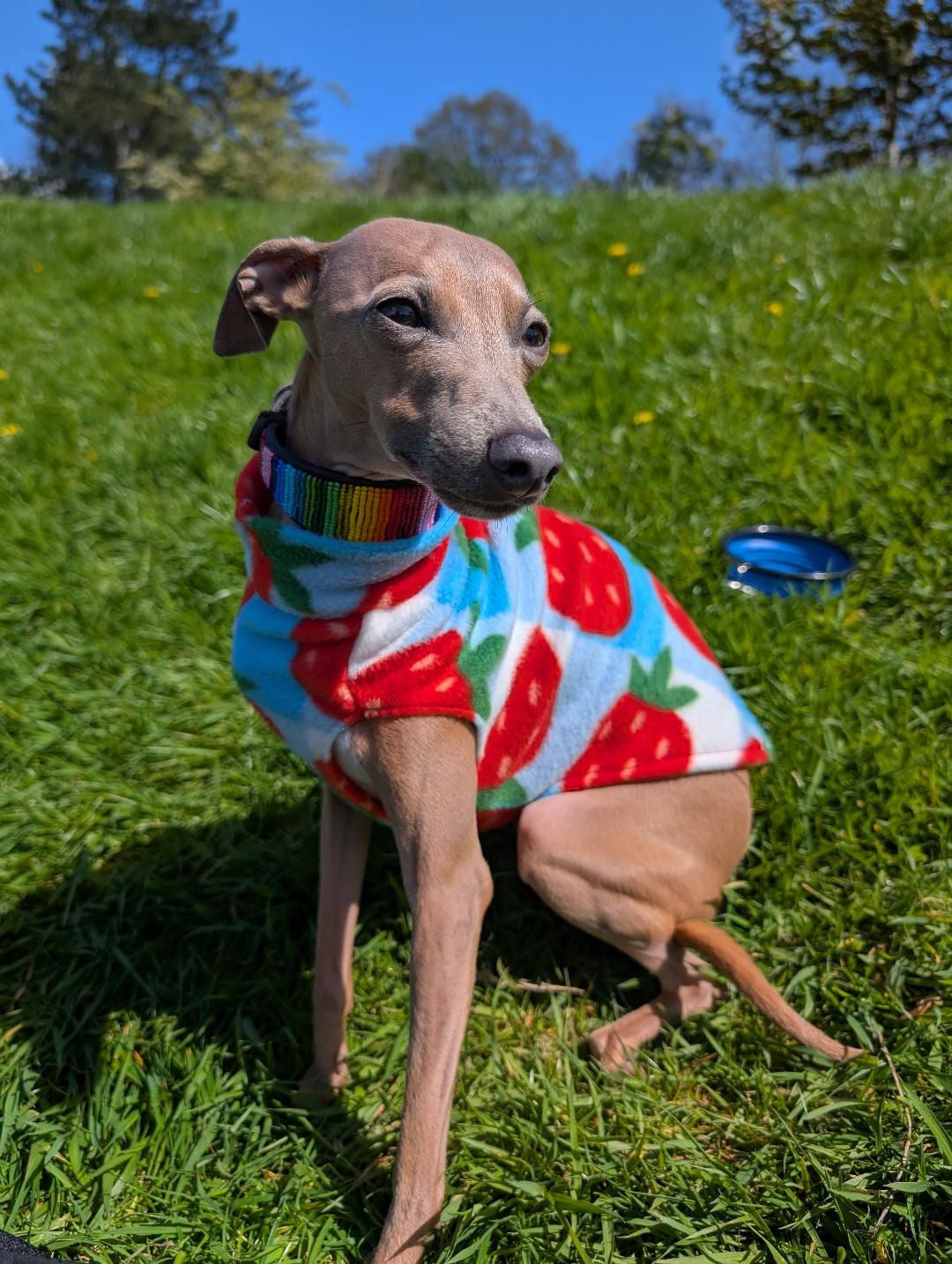 Fleece Vest - Strawberry Picnic
