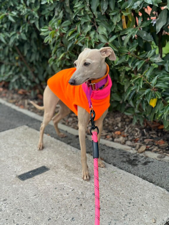 Fleece Vest - Colour Block Puppy Fleece
