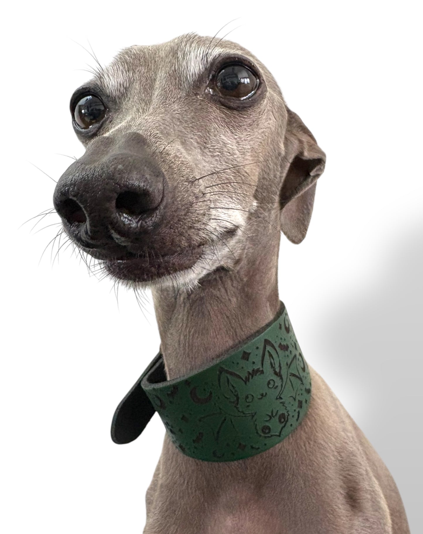 Leather Collar - HALLOWEEN - The Moonlit Bat