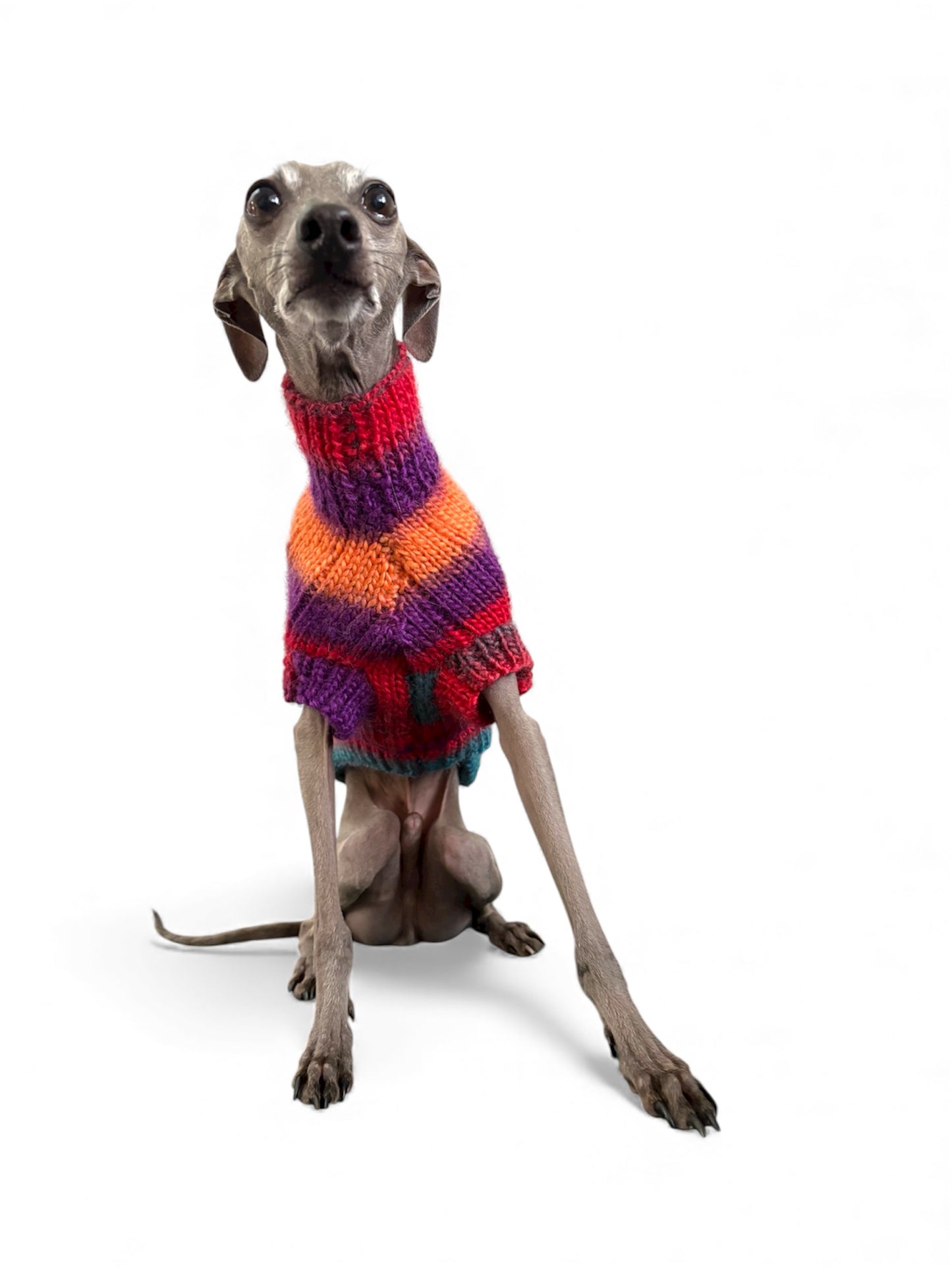 Knitted Jumper - Rich Tones