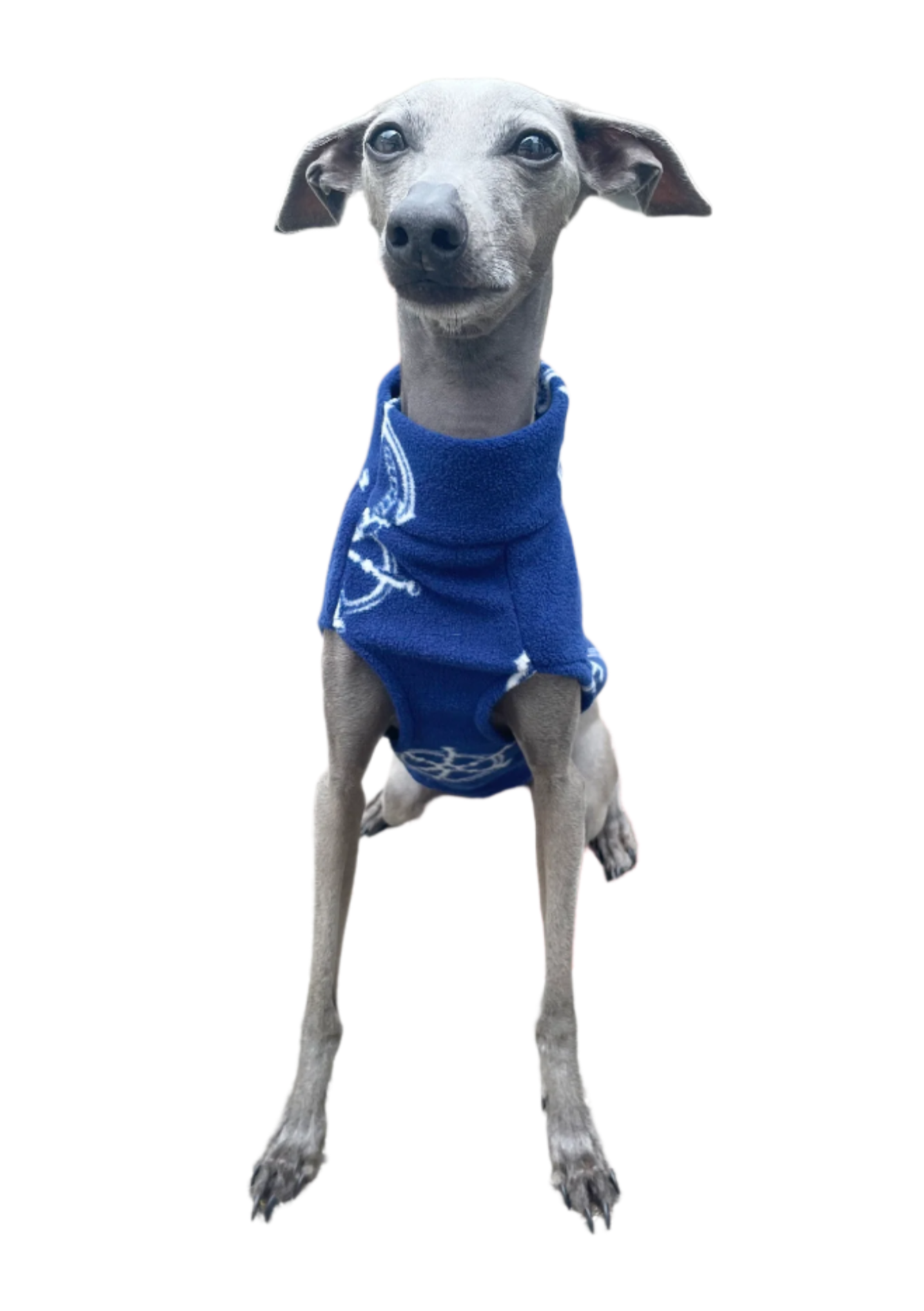 Lightweight Fleece Vest - Anchors Ahoy