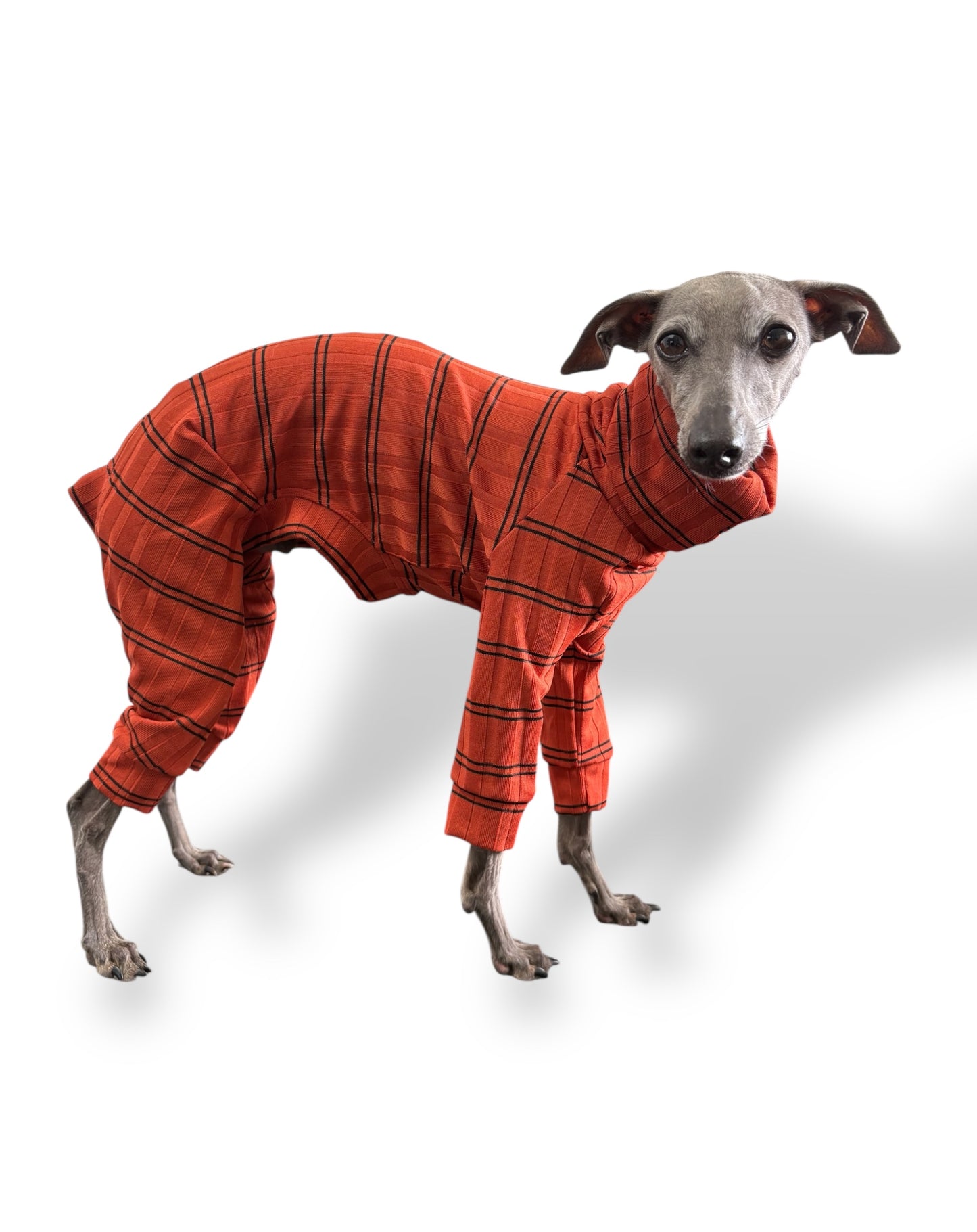 Ribbed Jersey Suit - Rust Orange