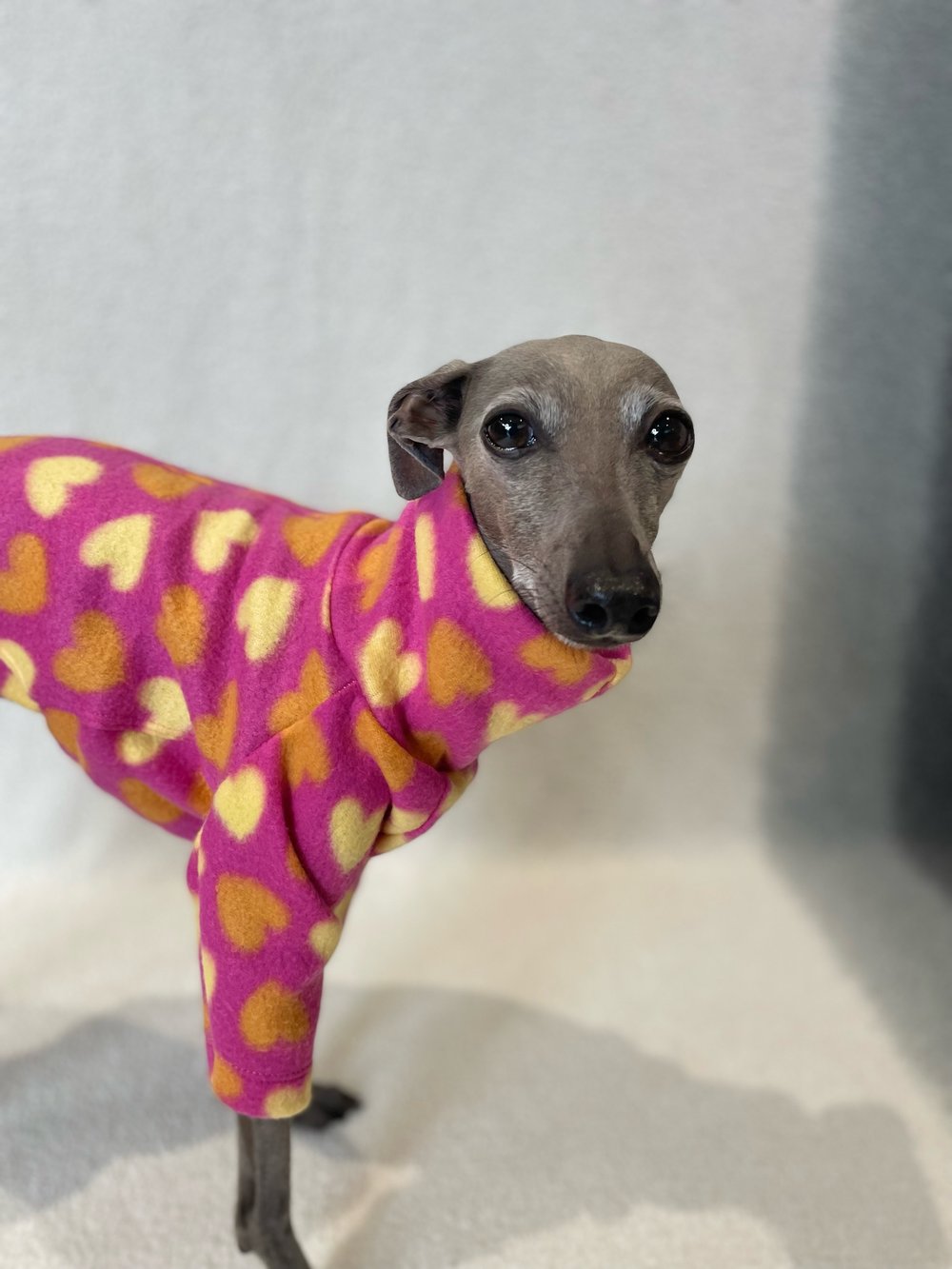 Fleece Jumper - Teal