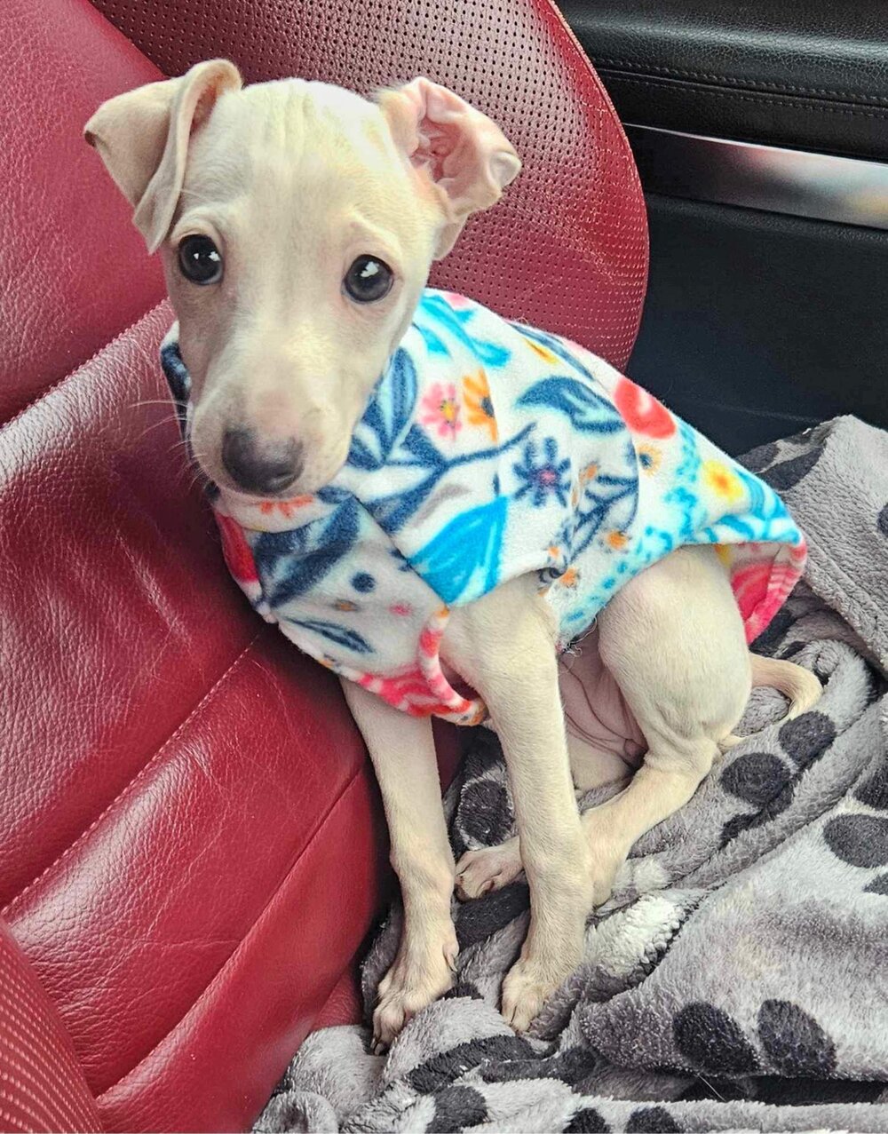 Fleece Vest - Peony Garden
