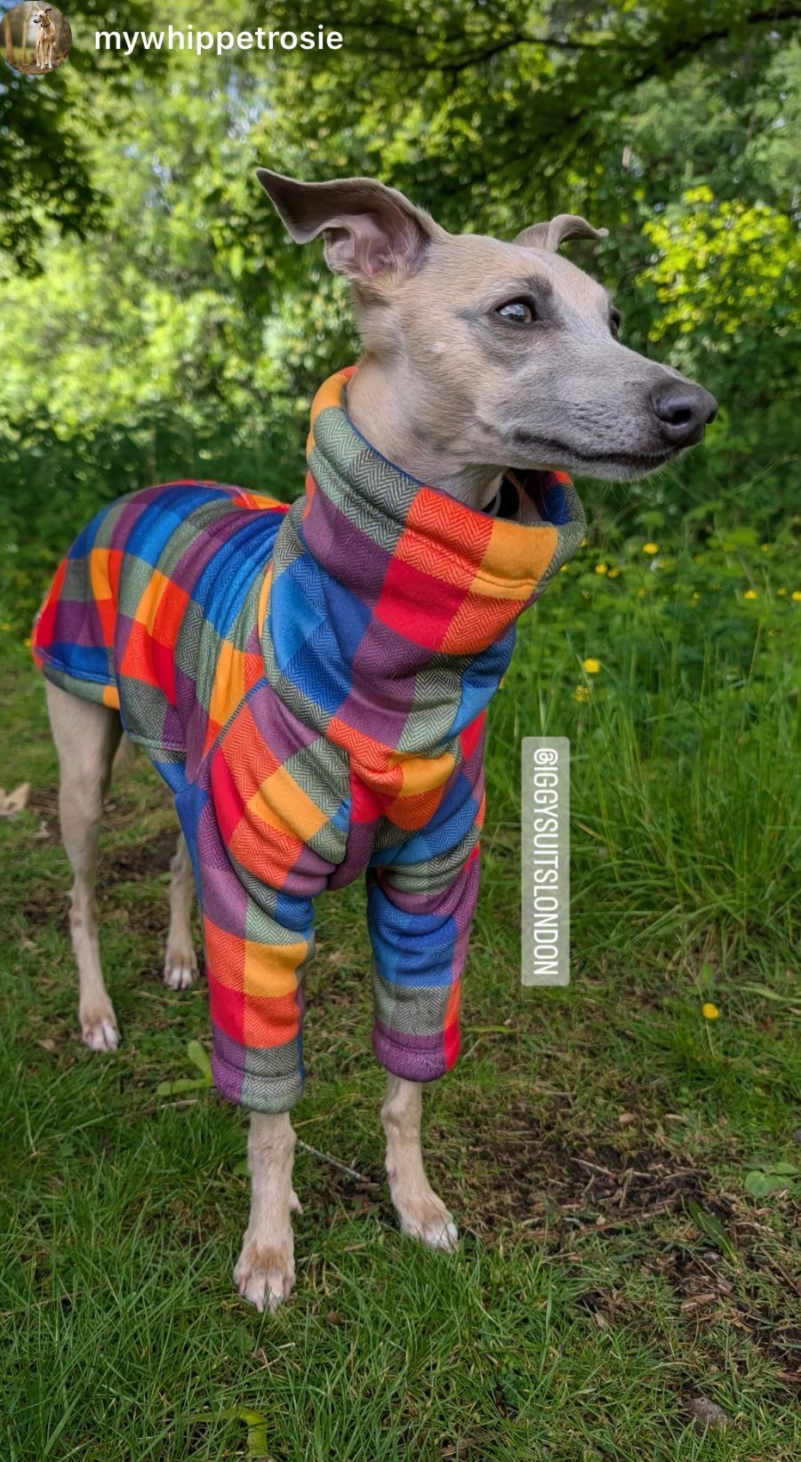 Sherpa Lined Fleece Jumper - Bright Plaid