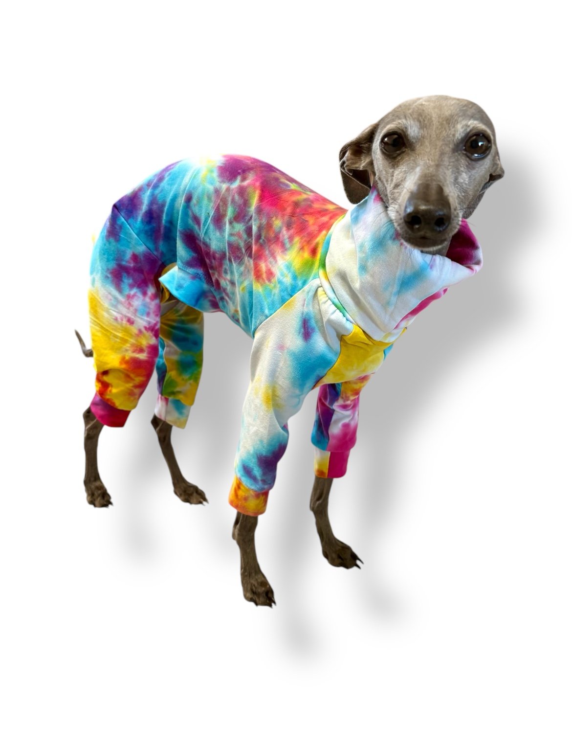 Jersey Suit - Rainbow Tie Dye