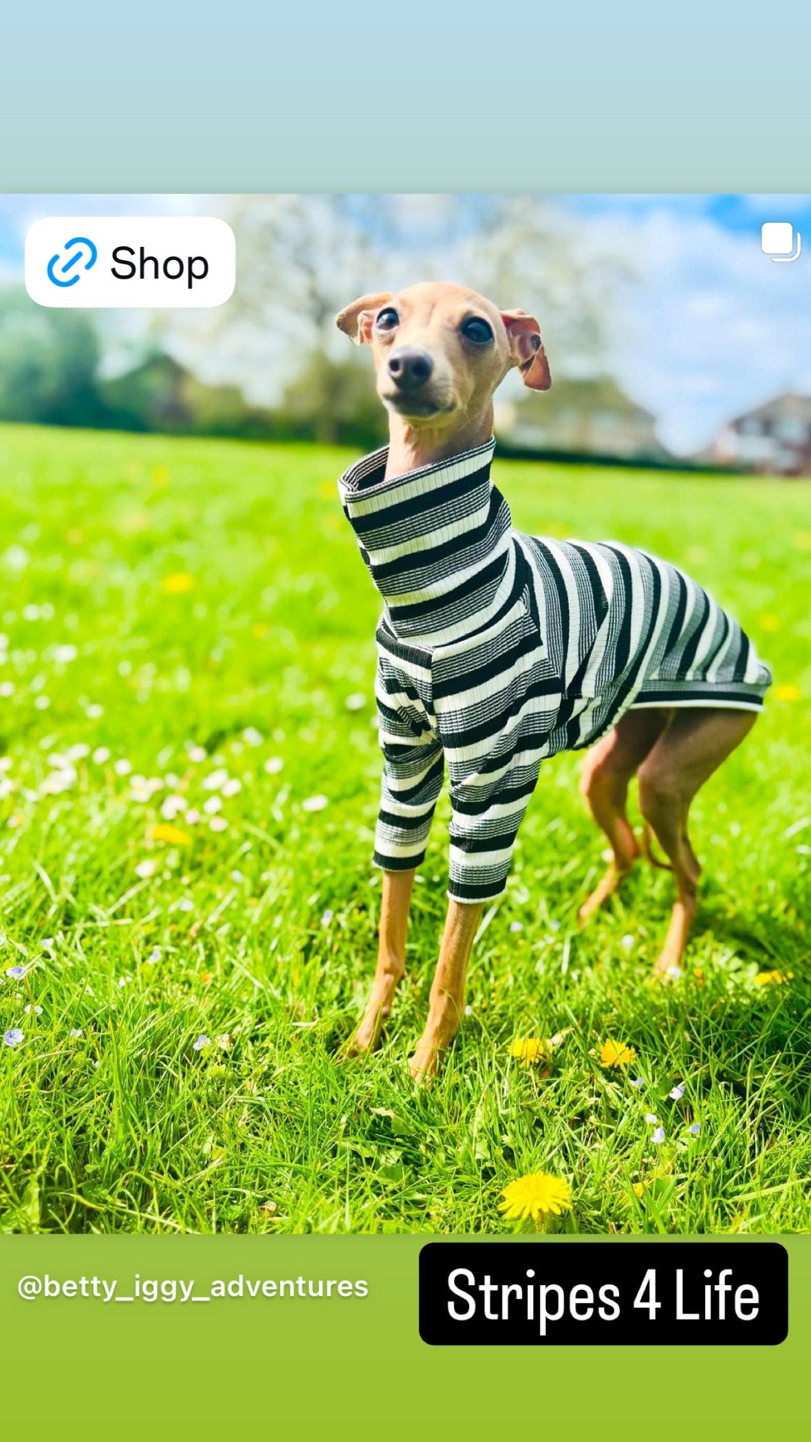 Ribbed Jersey T-Shirt - Black & White Stripe