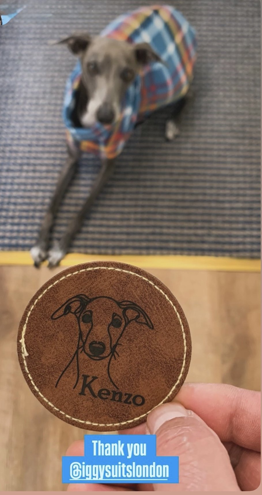 Iron-On Leather Patches