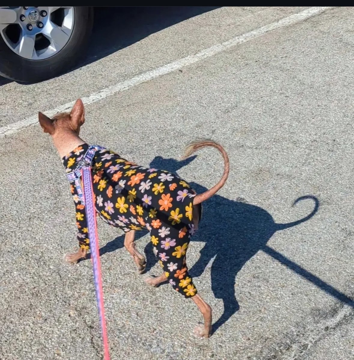 Fleece Lined Sweatshirt - Flower Power