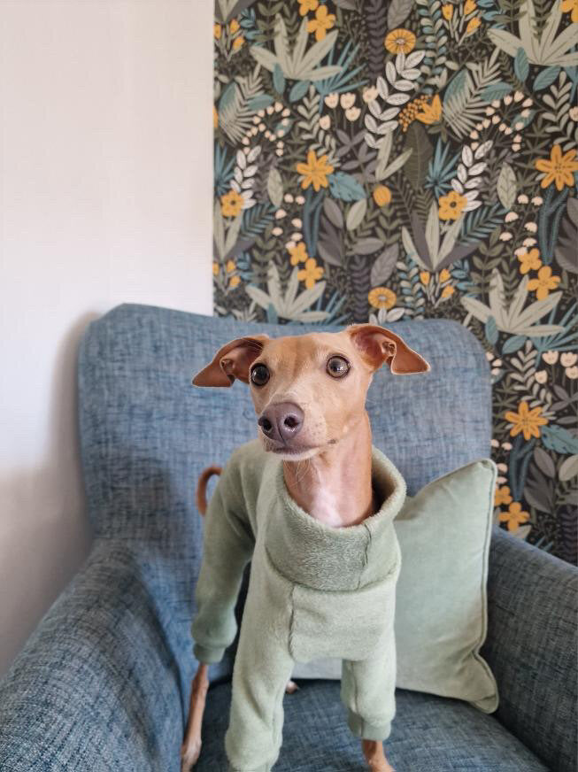 Fleece Lined Sweatshirt - Olive