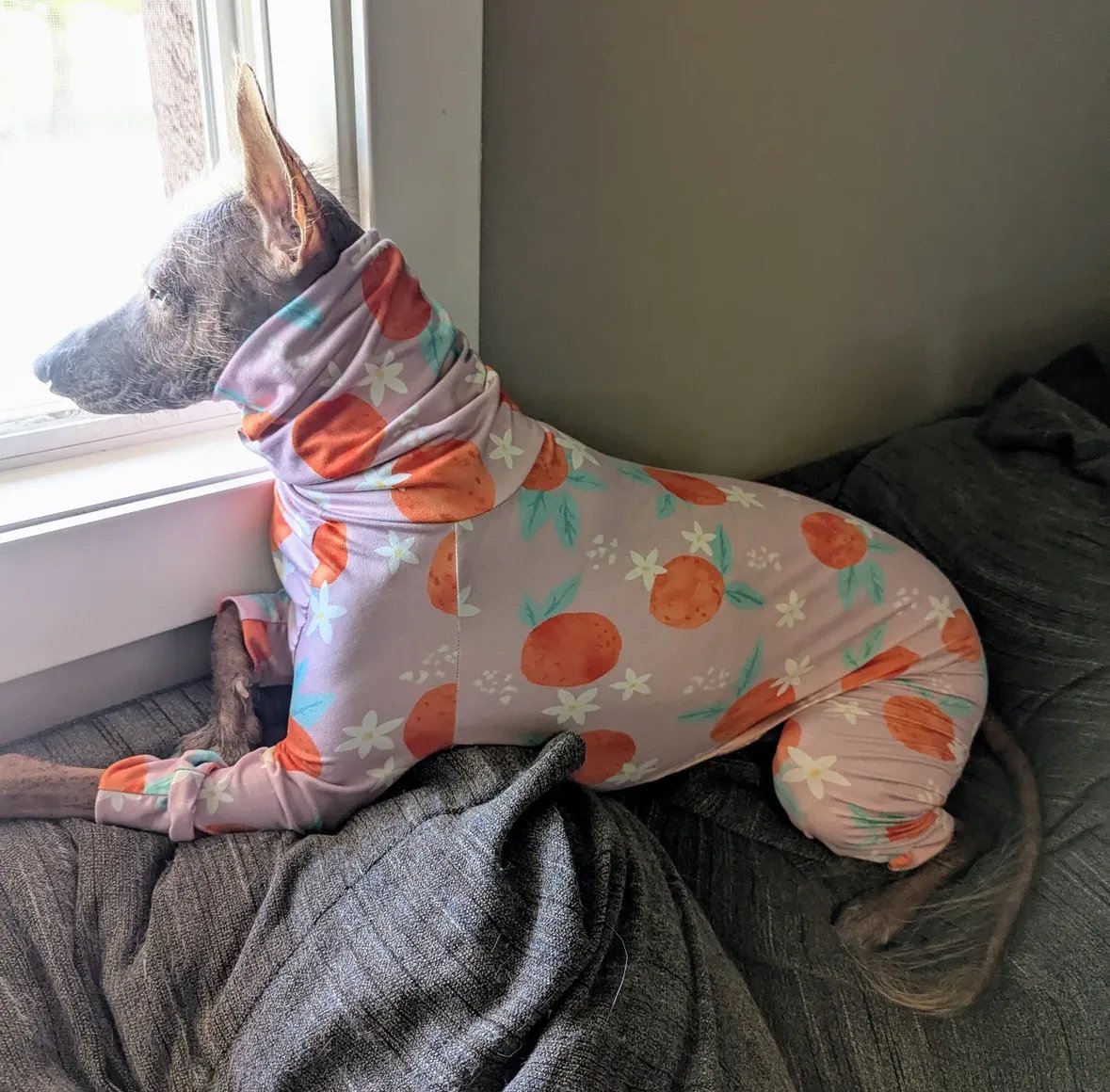 Jersey Suit - Peaches