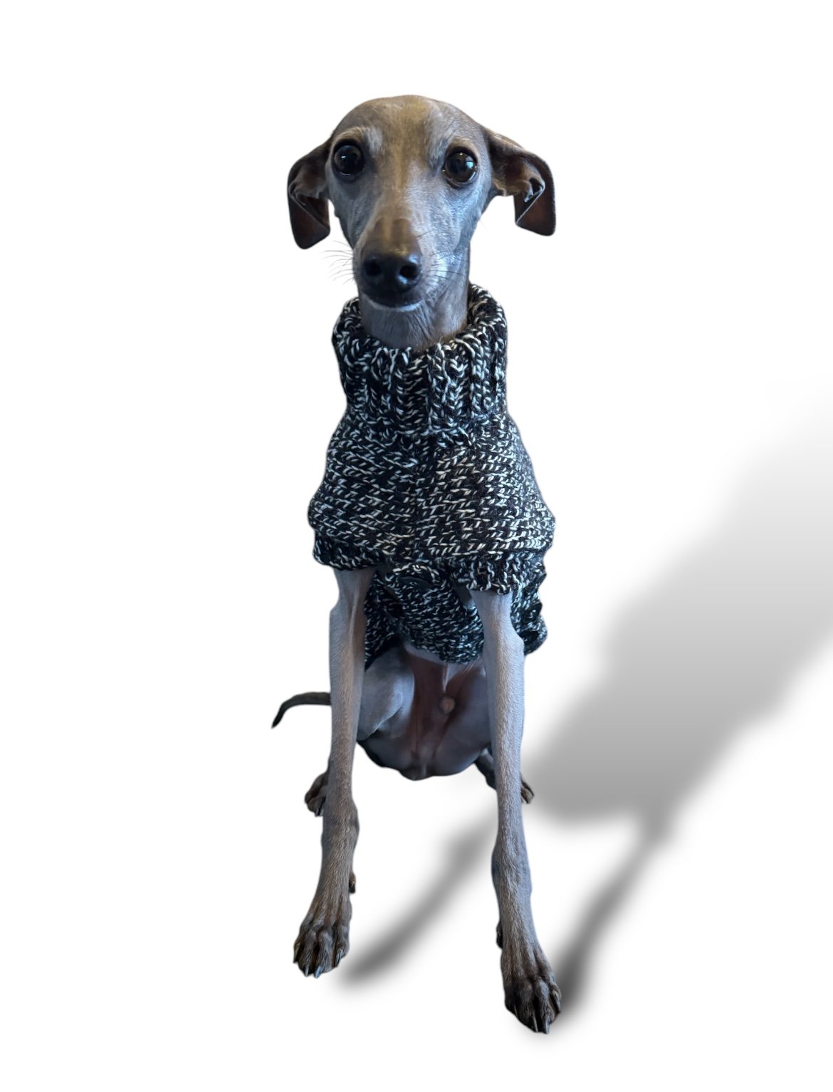Knitted Coat - Button Up - Monochrome