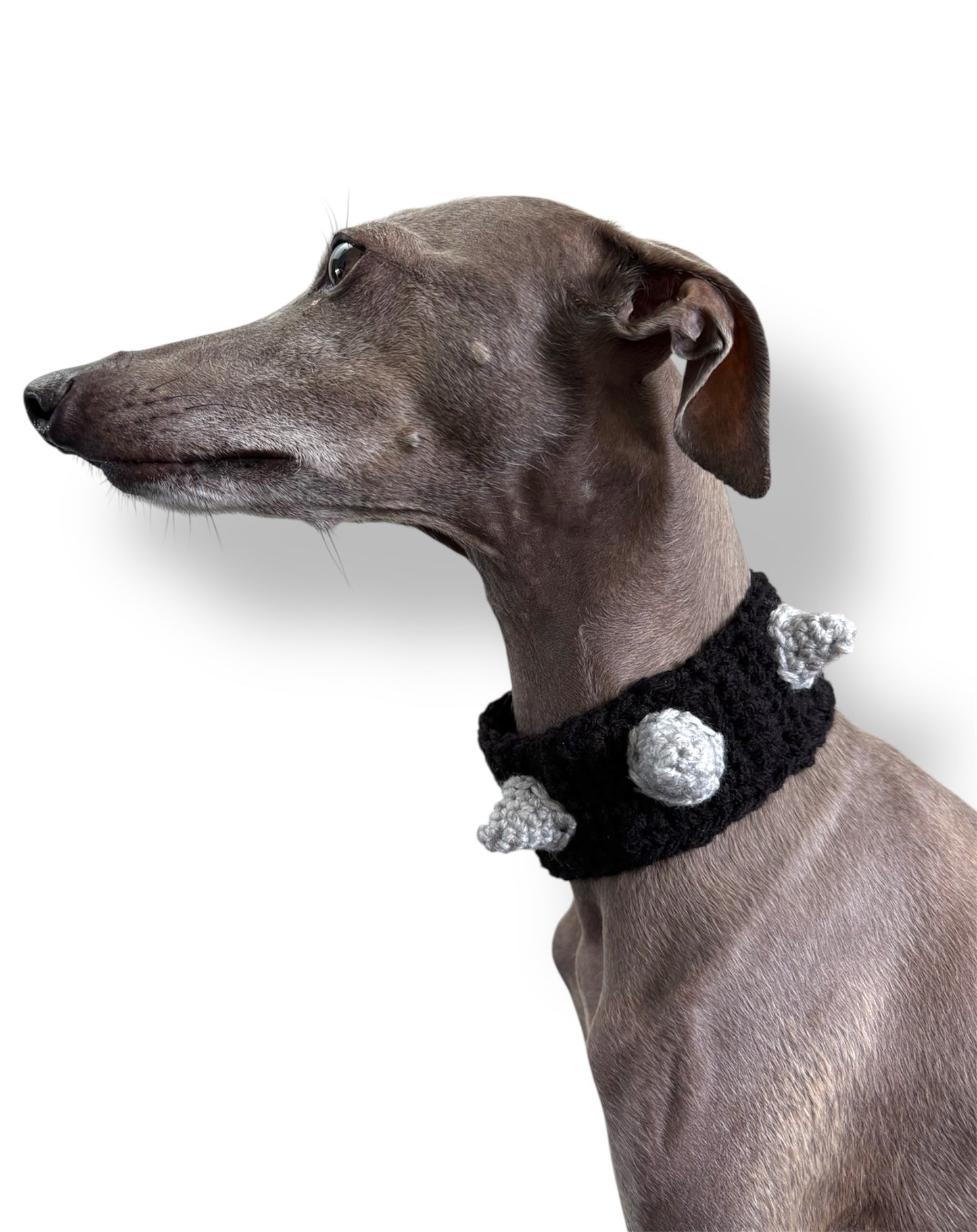 Spiked Dog Collar