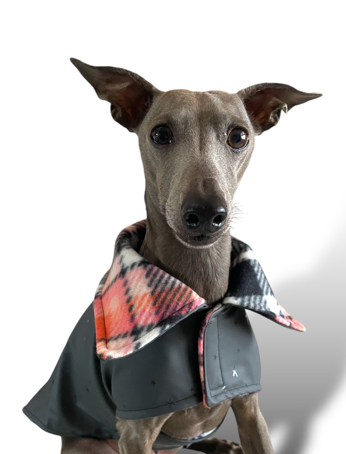 Rain Mac - Black Starfish & Pink Plaid Fleece Lining