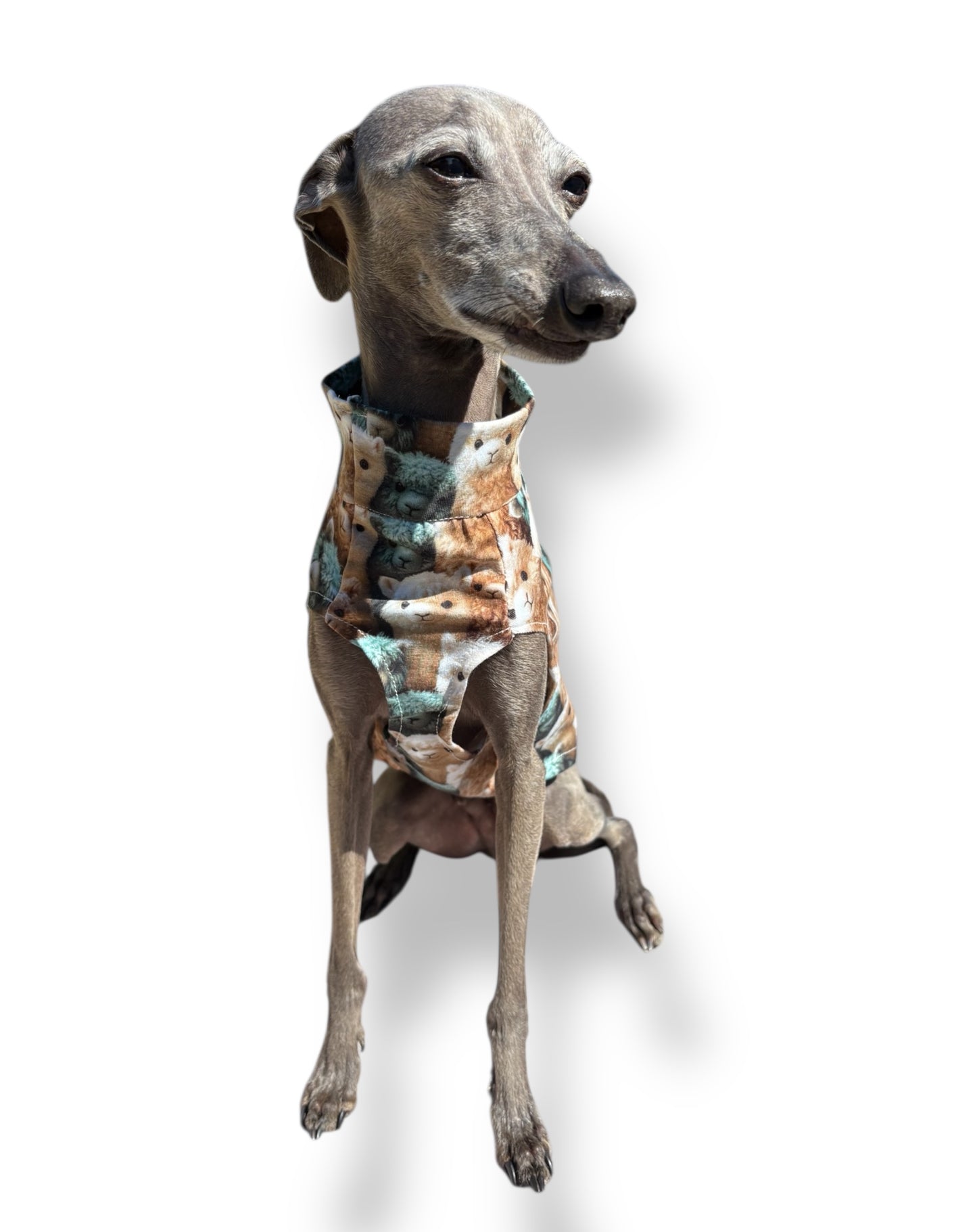 Jersey Vest - Llamas