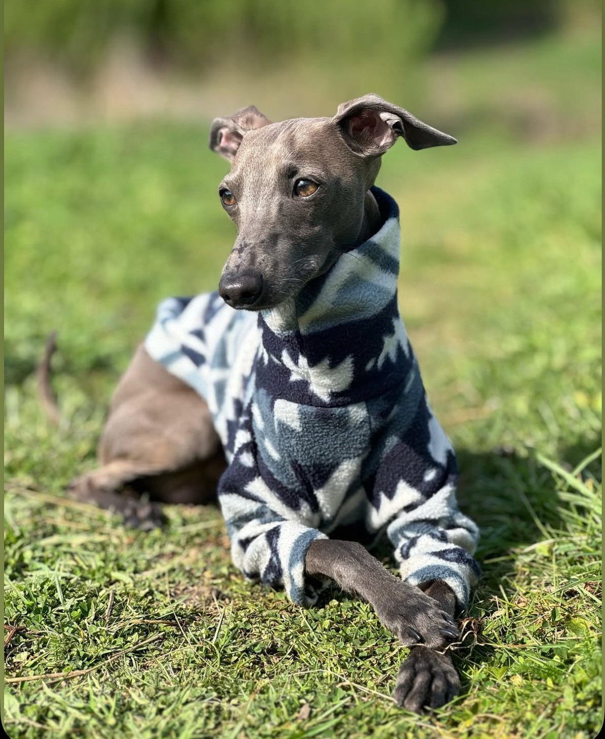 Fleece Jumper - Aztec Ultra-Plush Blue